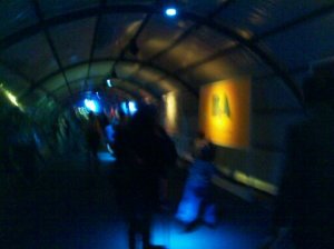 A pretty unfocused photo of BA's Government's tunnel. Sorry, I was walking. 